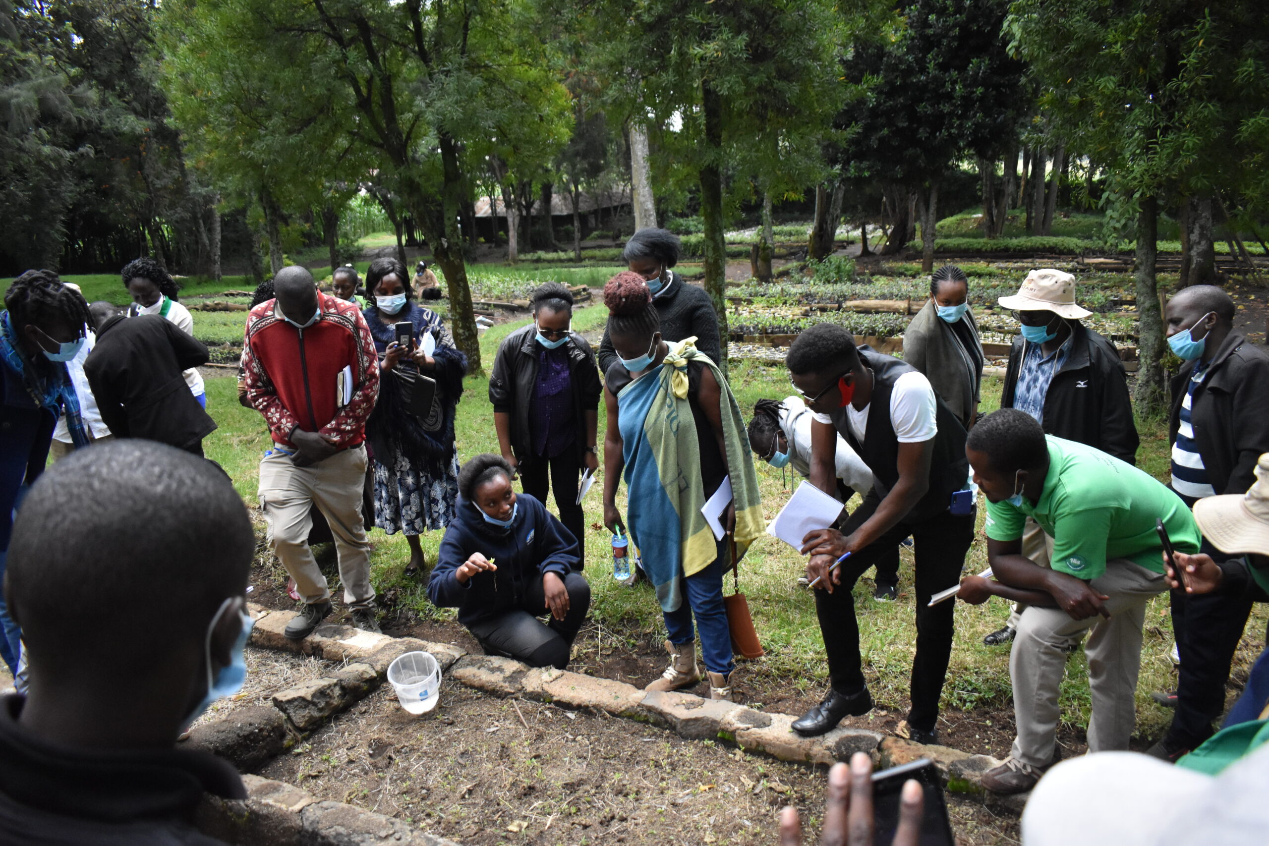 PELUM Kenya Participants learning on Tree Nursery management at Egerton University during Agroforestry Training