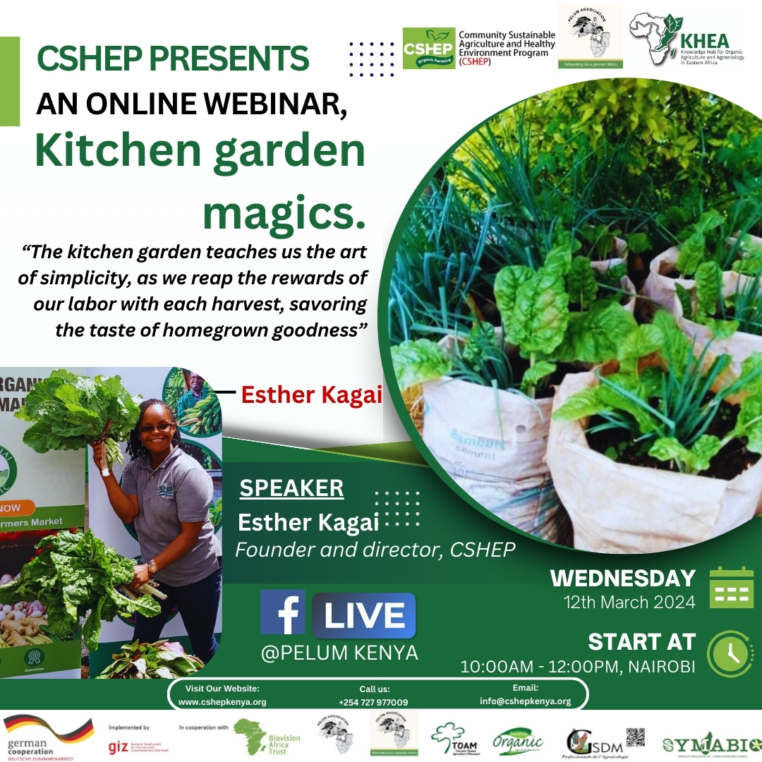 Kitchen Garden Magics by Esther Kiruthi