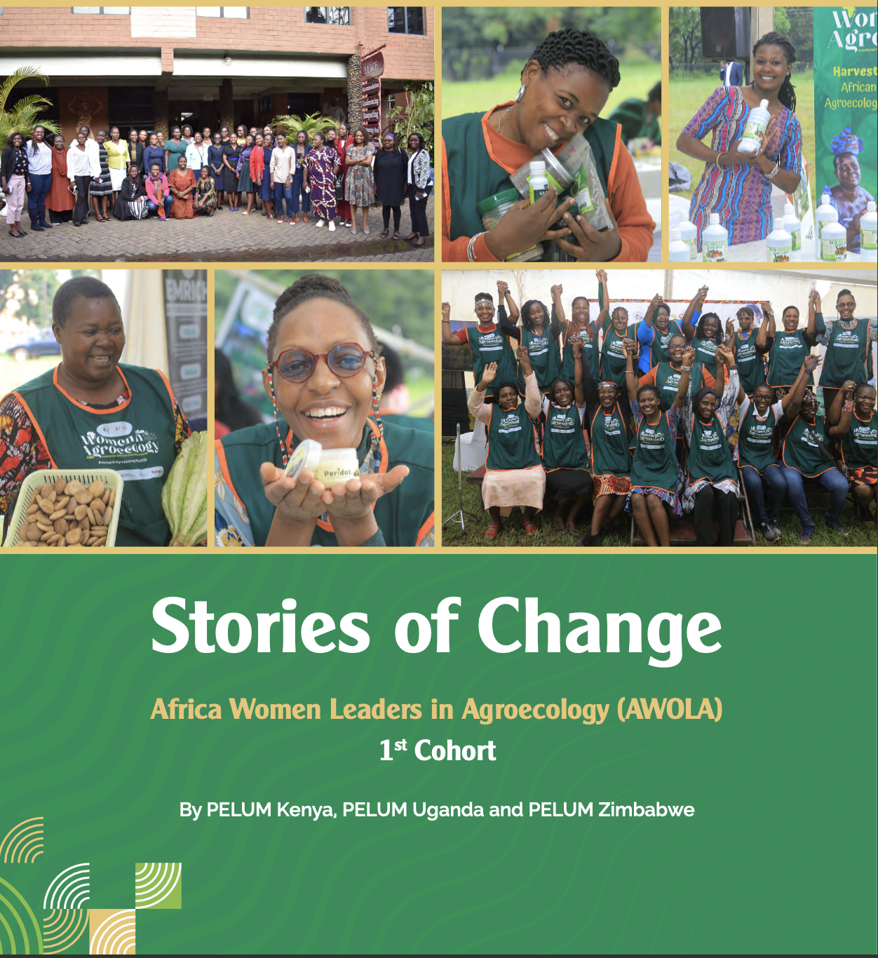 Stories of Change – AWOLA Initiative 1st Cohort