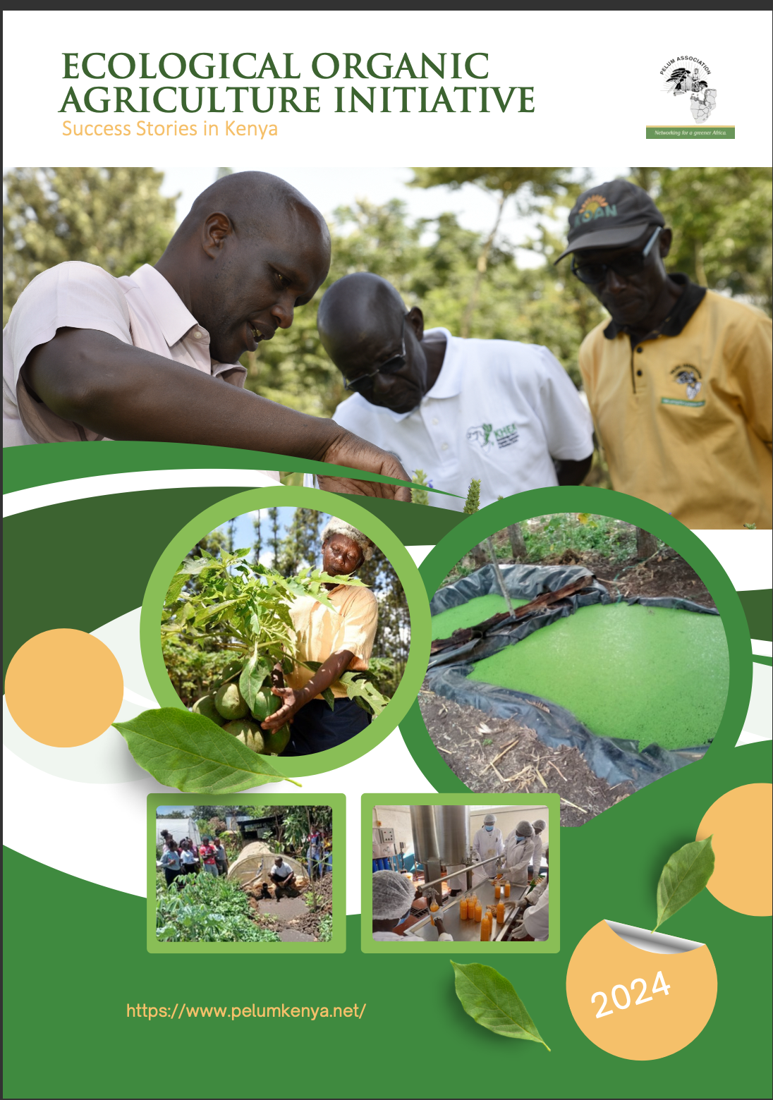Ecological Organic Agriculture Initiative Success Stories in Kenya