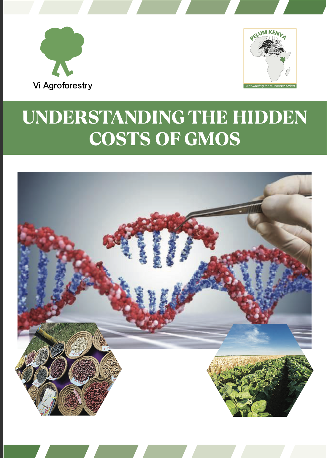 Understanding The Hidden Costs of GMOS