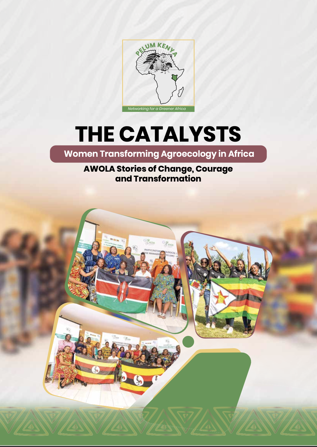 The Catalyst: AWOLA Stories of Change, Courage and Transformation