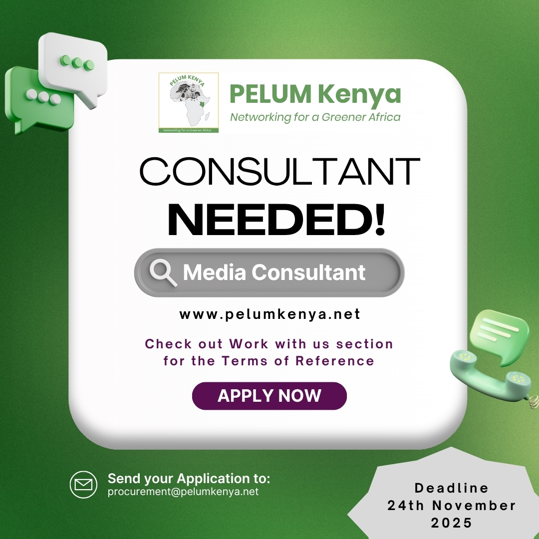 Call for Applications – Media Consultant
