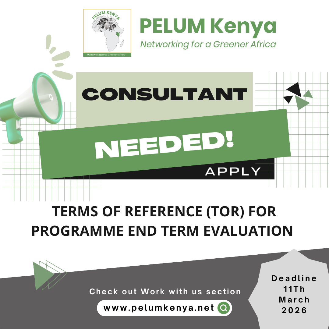 Call for Consultant: PENELI IV Programme End Term Evaluation