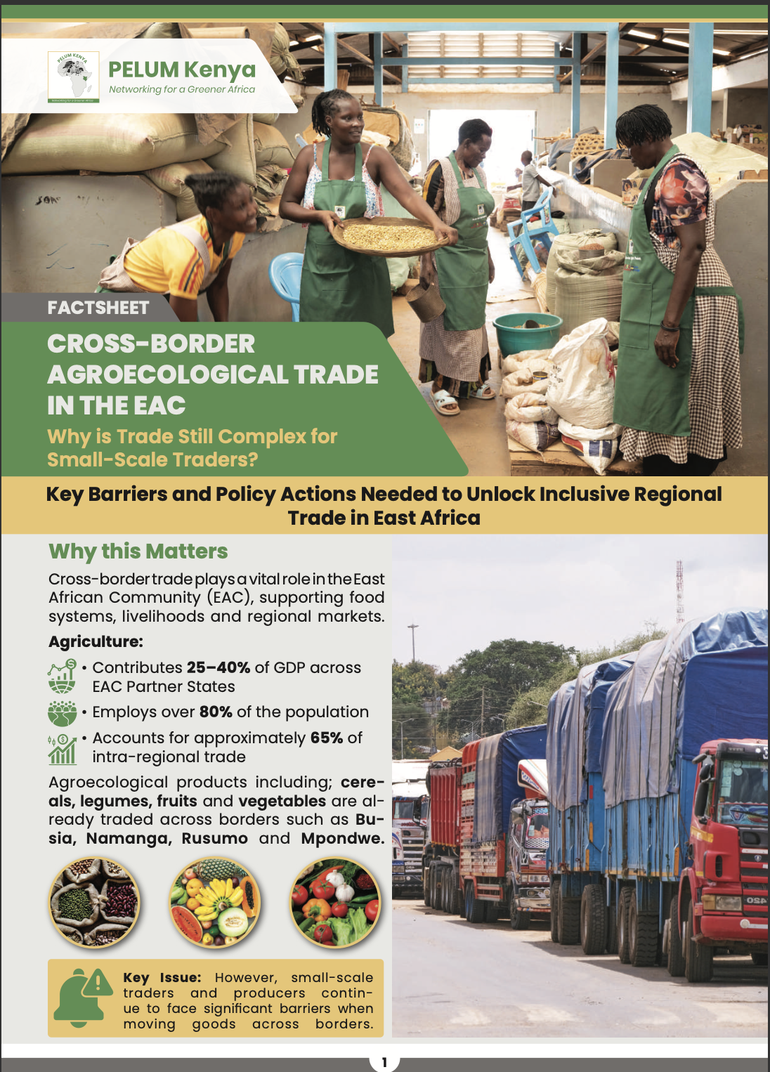 Factsheet – Key Barriers and Policy Actions Needed to Unlock Inclusive Regional Trade in East Africa
